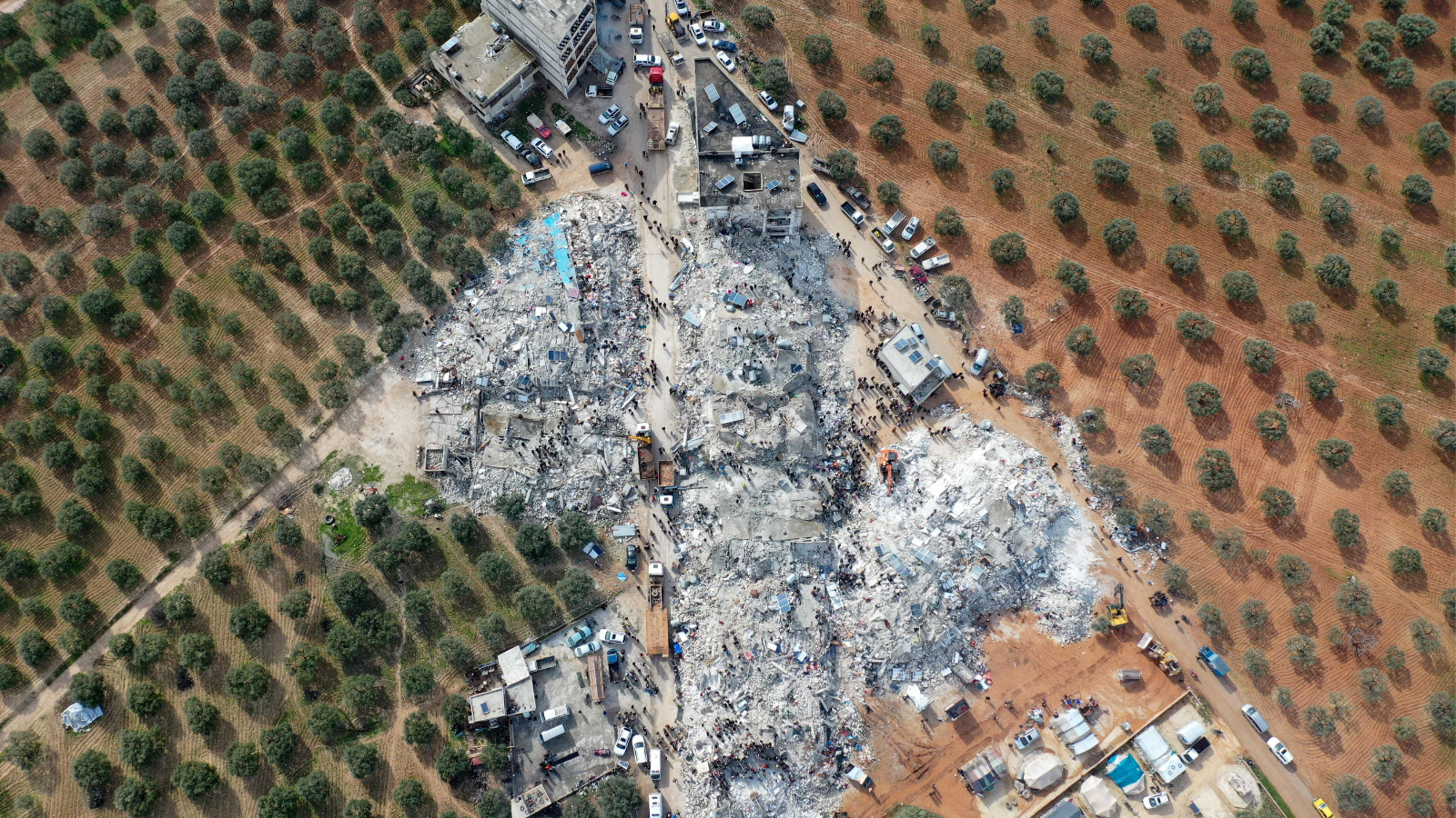 Carnegie Corporation Awards $1 Million for Earthquake Relief