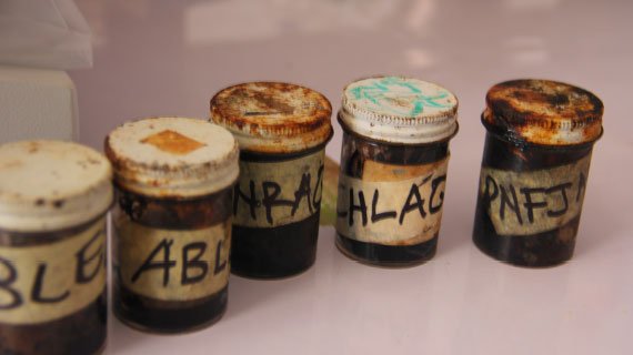 Amujoyegbe Olayinka has been collecting indigenous plant samples to identify compounds effective in treating sickle cell anemia disease. (Photo: Megan Lindow)