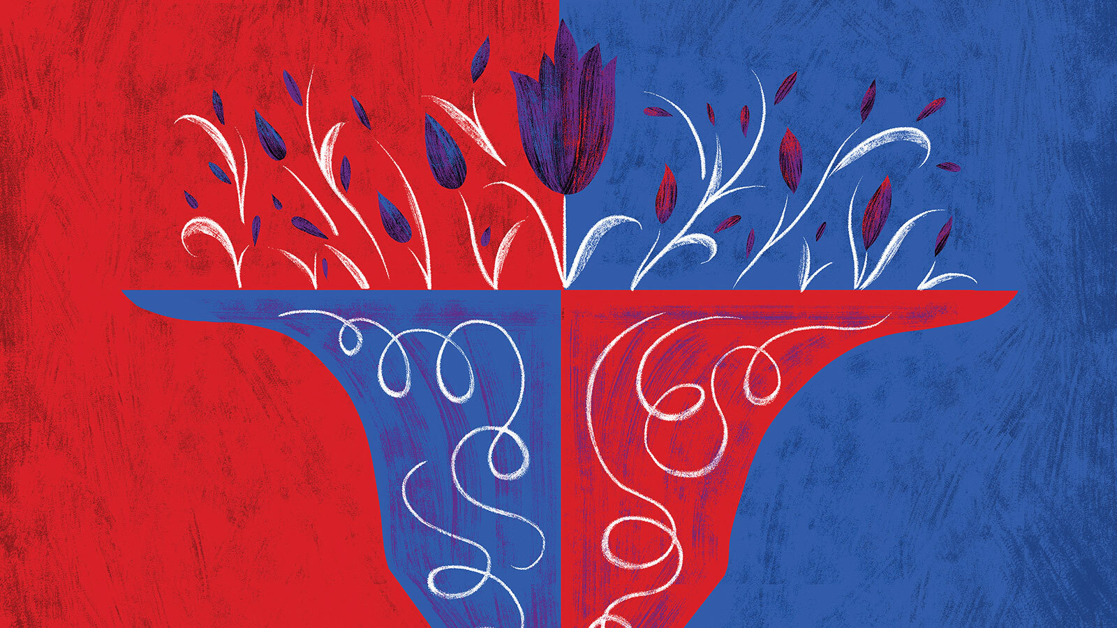 Carnegie Reporter Magazine Explores the Prevalence and Impact of Political Polarization and Finds Possible Solutions