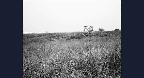 VACANT PLOT NEAR ATLANTICO SUL: This coarse, grassy landscape appears at first glance to be empty, yet the billboard declaring "Terreno Ocupado" – Portuguese for "occupied land" – reveals this site in Luanda as both active and politically charged.