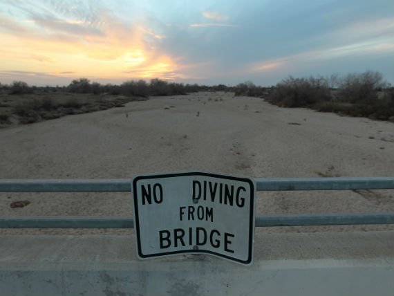 Photo: David McNew / Stringer