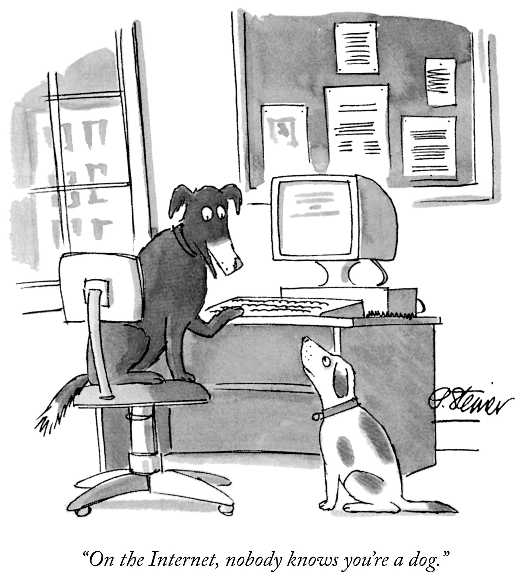 Peter Steiner / New Yorker; © Condé Nast