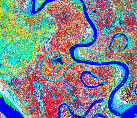 Landscape biogeochemistry reflected in shifting distributions of chemical traits in the Amazon forest canopy. Image from the Institution’s Carnegie Airborne Observatory.