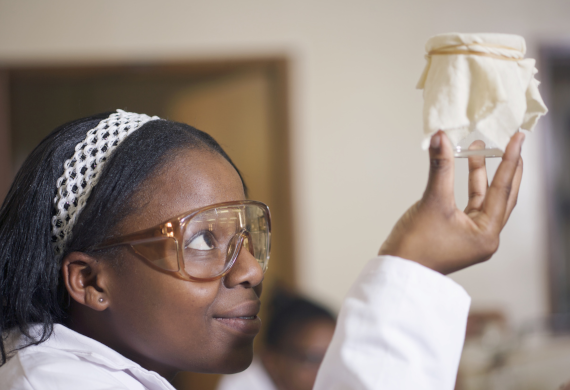 African Academic Diaspora: Training and Research