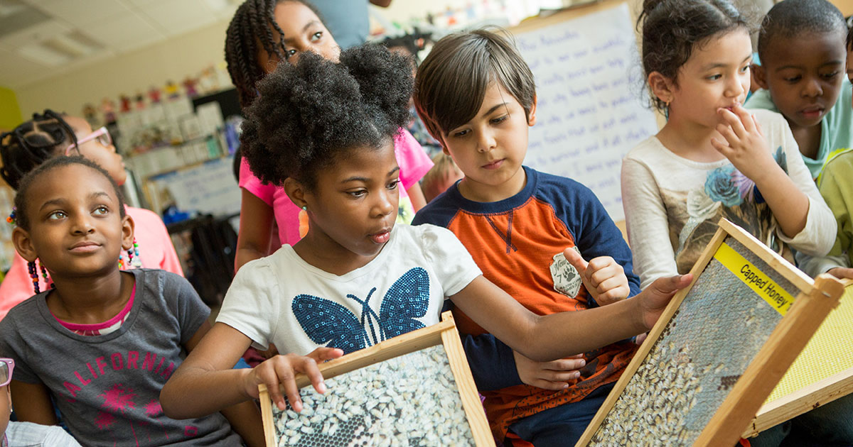 Thirteen Ways to Improve Science Education in the U.S.