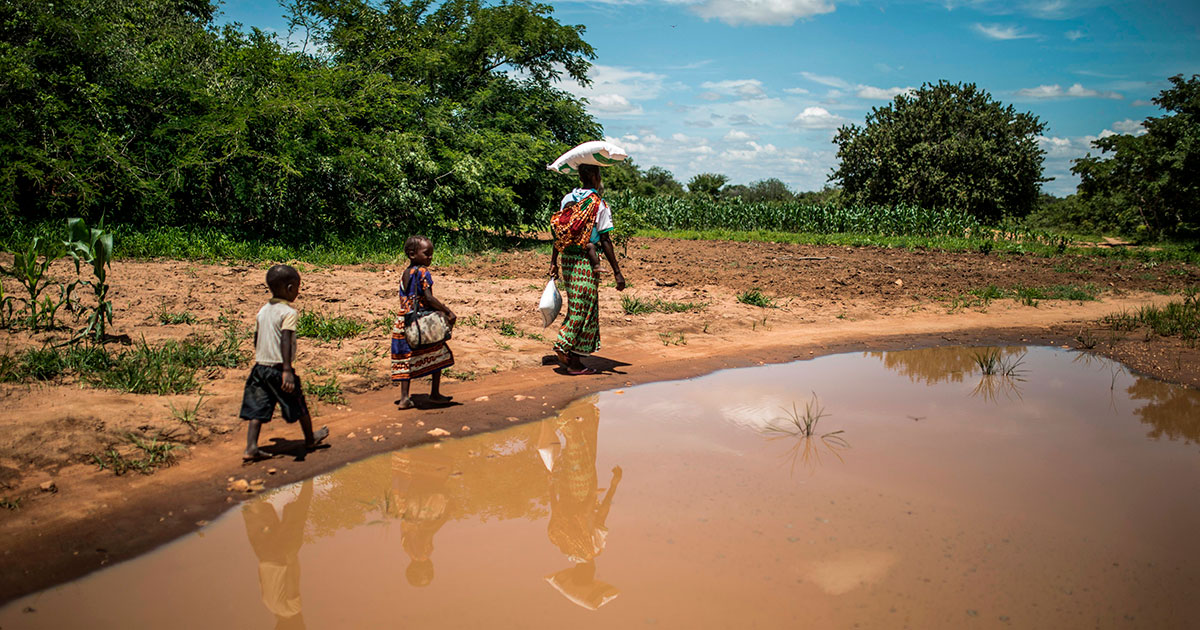 How to Feed an Increasingly Hungry World