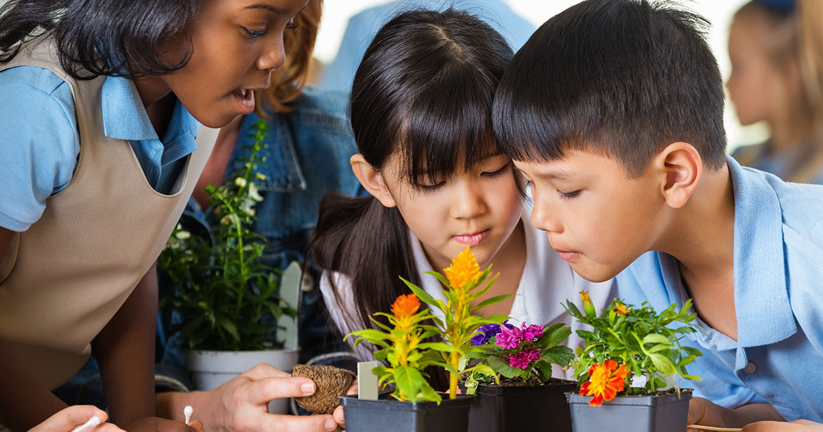How to Achieve Equitable and Improved Science Learning for All Students