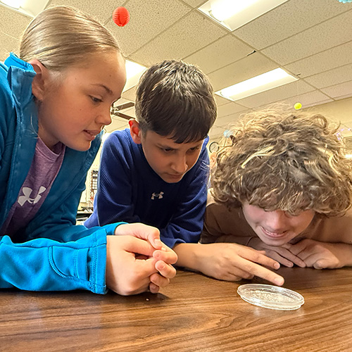 Yana and Anar Mamadaliyev’s son (middle) worked with fellow students at St. Joseph School, observing crystals they created using salt and water in their fifth-grade science class. Credit: Beth Gravert