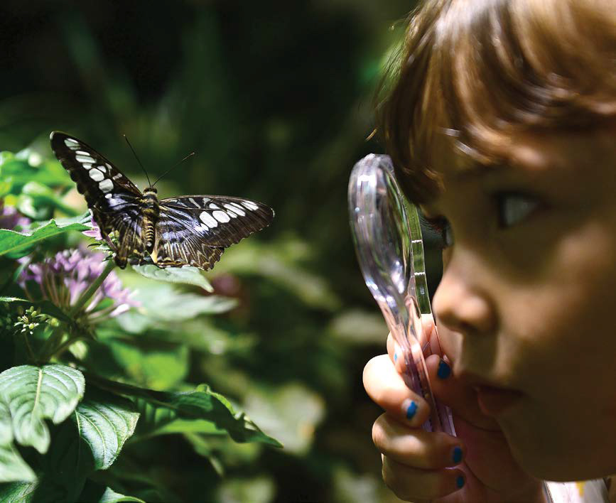 Museums Inspire STEM Learning for the Whole Family
