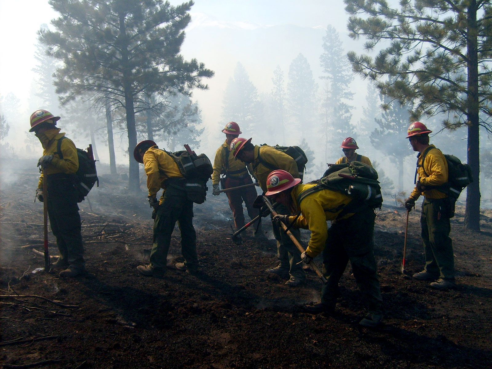 Seven firefighters with shovels and tools in a smoky wooded area